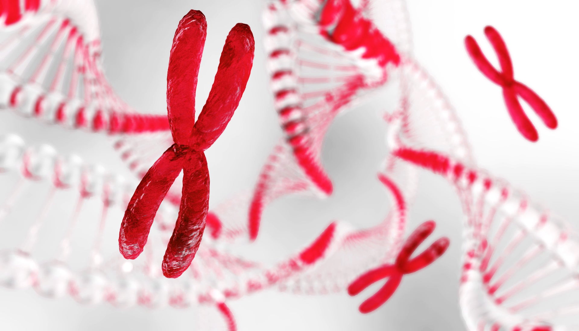 Das Bild zeigt eine grafische Darstellung von Chromosomen und DNA-Strängen in Rot und Weiß. Die Chromosomen stehen im Vordergrund, während DNA-Helices im Hintergrund sichtbar sind.