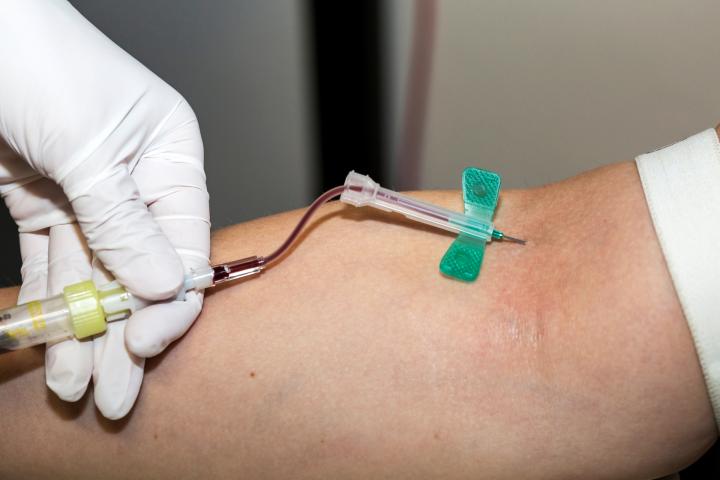Eine Person erhält eine Blutabnahme am Arm. Eine medizinischer Fachkraft hält mit behandschuhten Händen eine Nadel mit einem Butterfly-System in eine Vene, und Blut wird über einen Schlauch in ein Probenröhrchen geleitet.